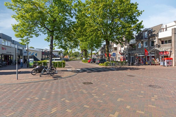 08944748_46.jpg