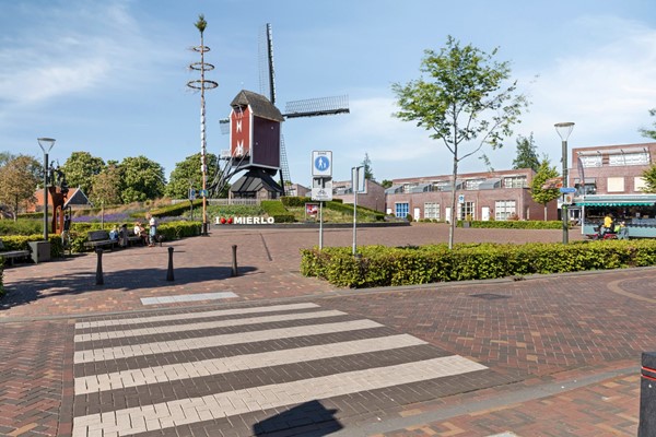 08944748_47.jpg