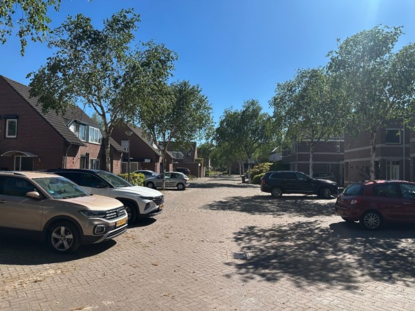08948600_38.jpg