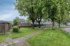 08952862_42.jpg