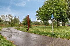 08952862_43.jpg