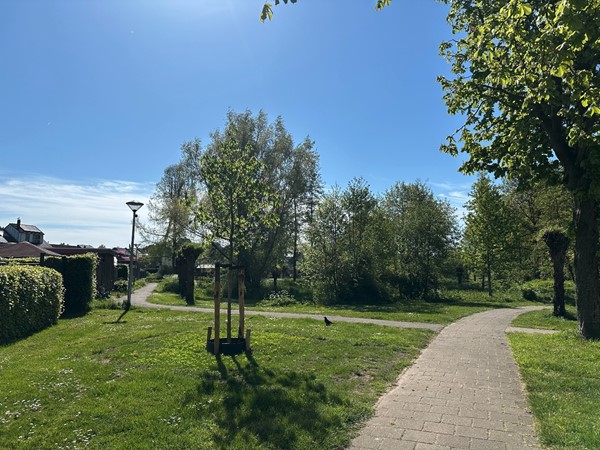 08952862_45.jpg