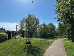 08952862_45.jpg