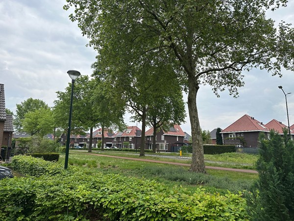 08966865_37.jpg