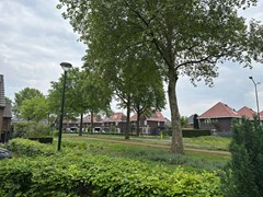 08966865_37.jpg