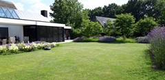 08972370_50.jpg