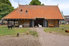08996728_42.jpg