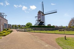 08996728_43.jpg