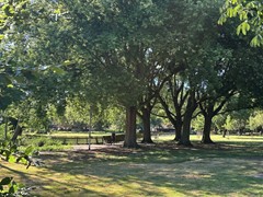 09004603_47.jpg
