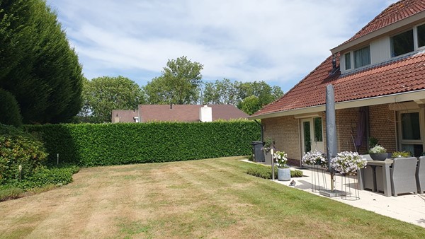 09034540_40.jpg