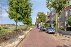 09034548_7.jpg