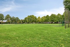 09066292_43.jpg