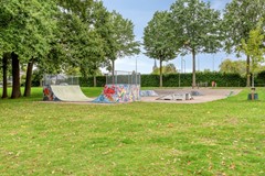 09066292_45.jpg