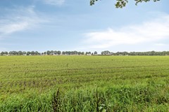 09066724_44.jpg