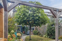 20251020, Korenmolen 7, Harmelen, Slob Makelaardij (54 of 59).jpg