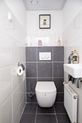 toilet.jpg