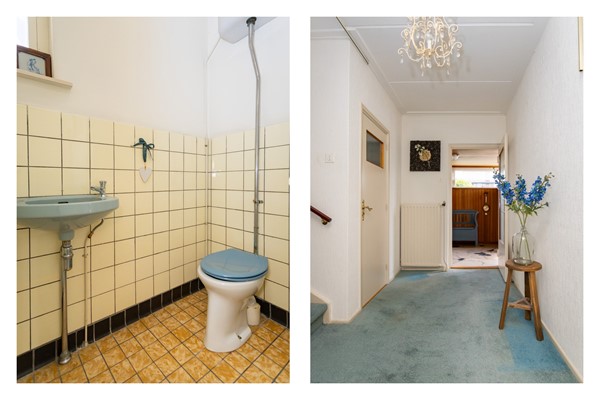 Toilet.jpg