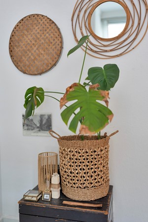 Medium property photo - Muntelstraat 13, 5211 PT 's-Hertogenbosch