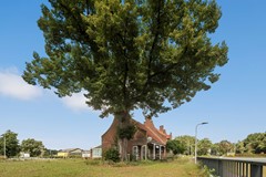 Oosterhoutseweg 55, 5121 RE Rijen - 250731PZ111365.JPG
