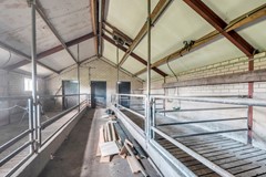 Elst 3, 5386 KB Geffen - 250924PZ116675.JPG