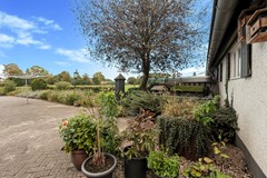 Elst 3, 5386 KB Geffen - 250924PZ116686.JPG