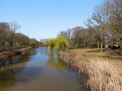 Van Maanenstraat 88, 5344 KK Oss - DJI260319202603181250002603190045260319D.jpg