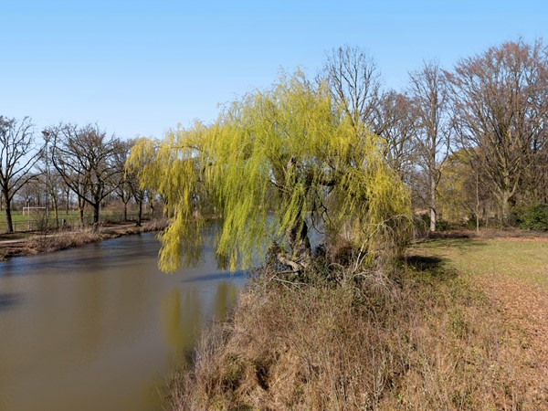 Foto - Te koop: Van Maanenstraat 88, 5344 KK Oss