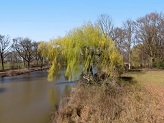 Van Maanenstraat 88, 5344 KK Oss - DJI260319202603181250422603190046260319D.jpg